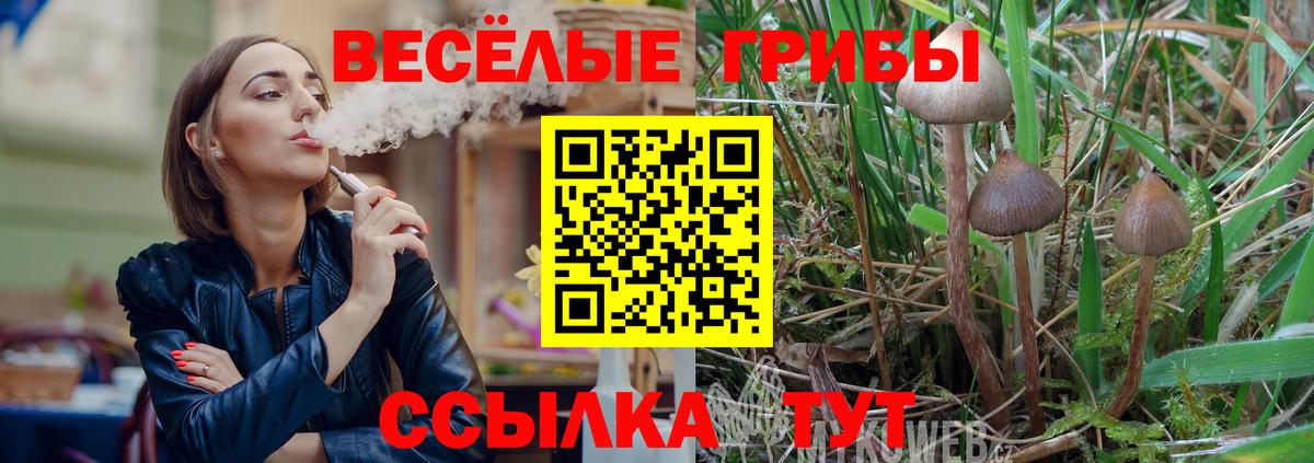 Арсеньев  Псилоцибиновые грибы Psilocybine cubensis  Вход с VPN 