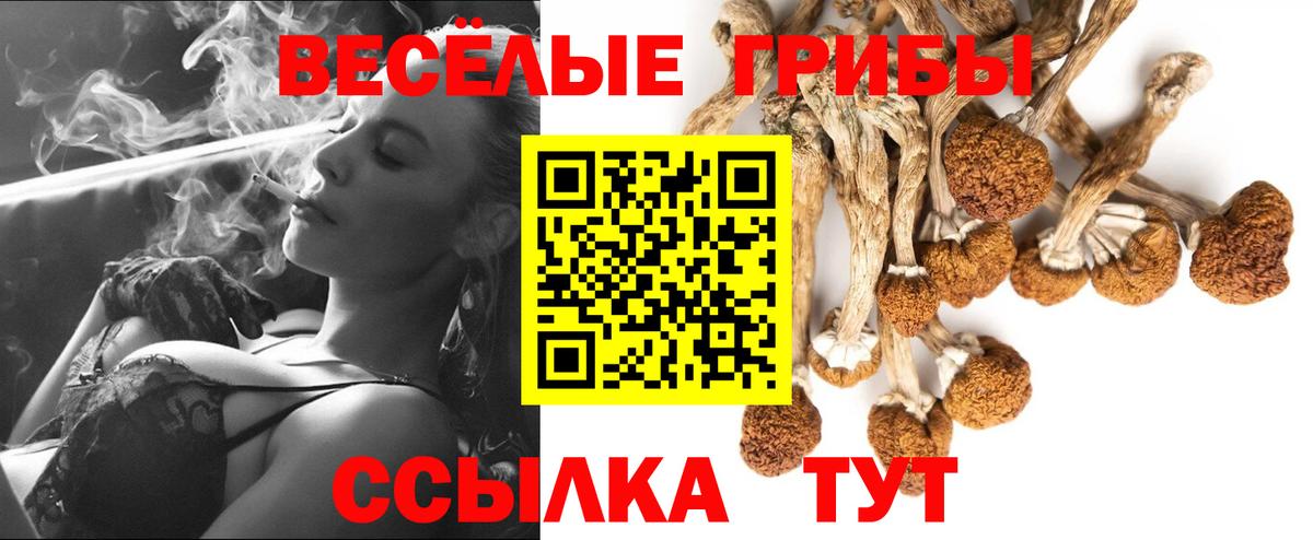 Псилоцибиновые грибы Psilocybine cubensis Арсеньев